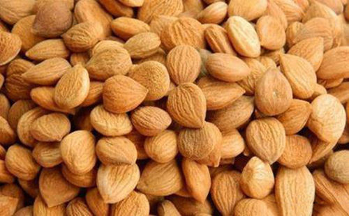 苦杏仁行情深度解析，背景、事件與地位探究