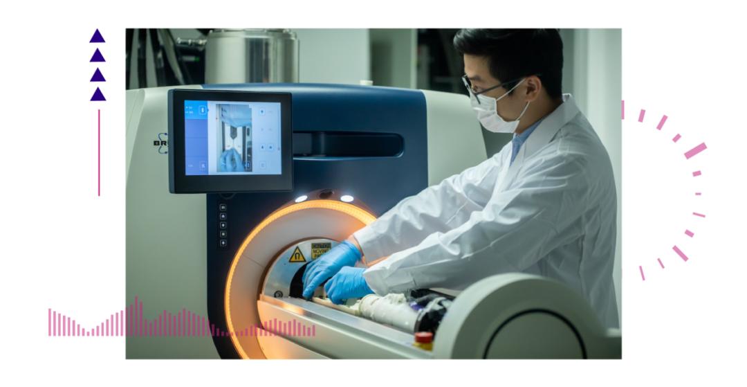 香港脊髓研究取得新進展，探索自然美景的心靈之旅新篇章