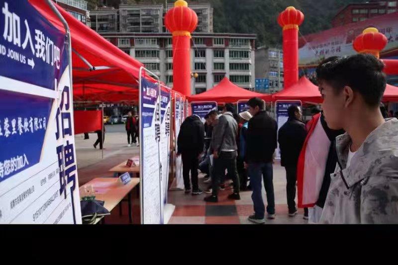 青白江招聘信息探索，小巷中的職業(yè)機(jī)遇