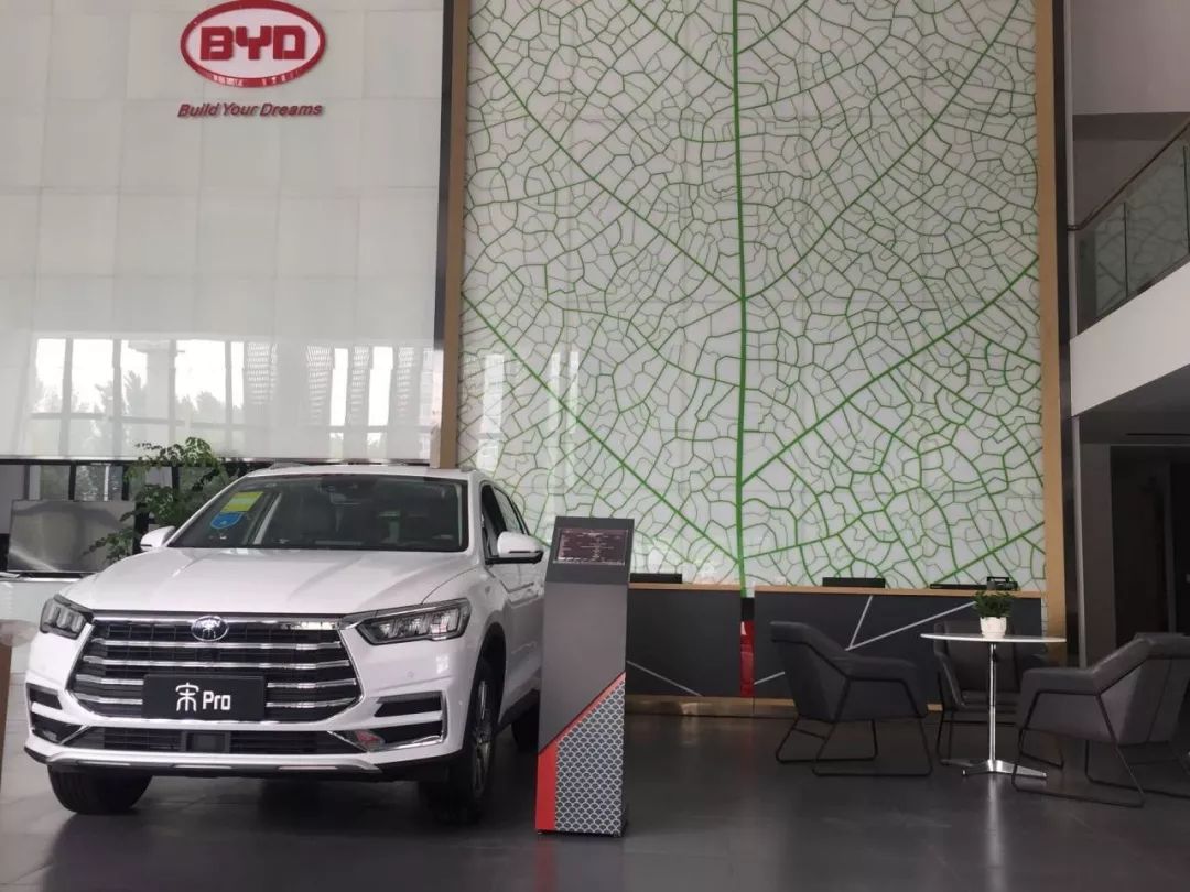 重磅更新，比亞迪最新招聘信息揭秘???