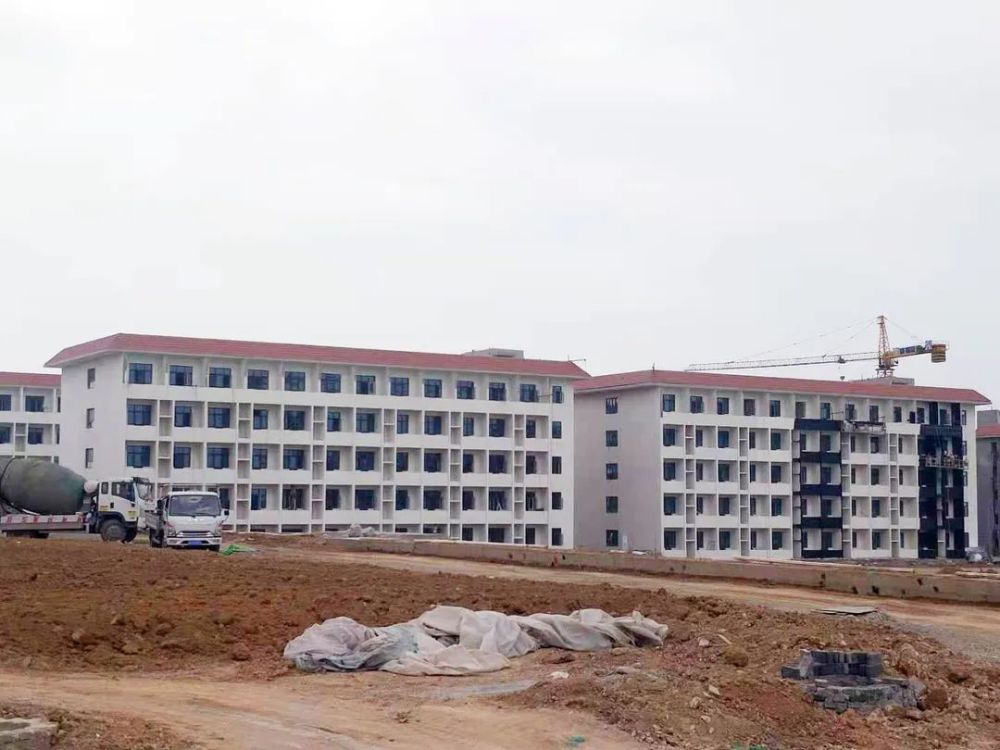 甘谷新聞，大石車禍最新進(jìn)展及觀點(diǎn)論述深度解析