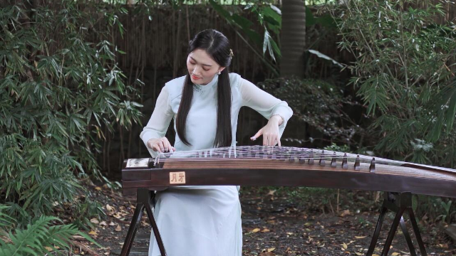 抖音最新琵琶演奏，古典與現(xiàn)代的完美融合之美