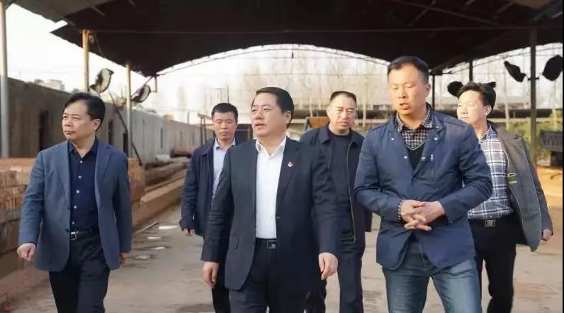 商丘王仲田最新動態(tài)，探索自然美景的旅行，尋求內(nèi)心平和之旅