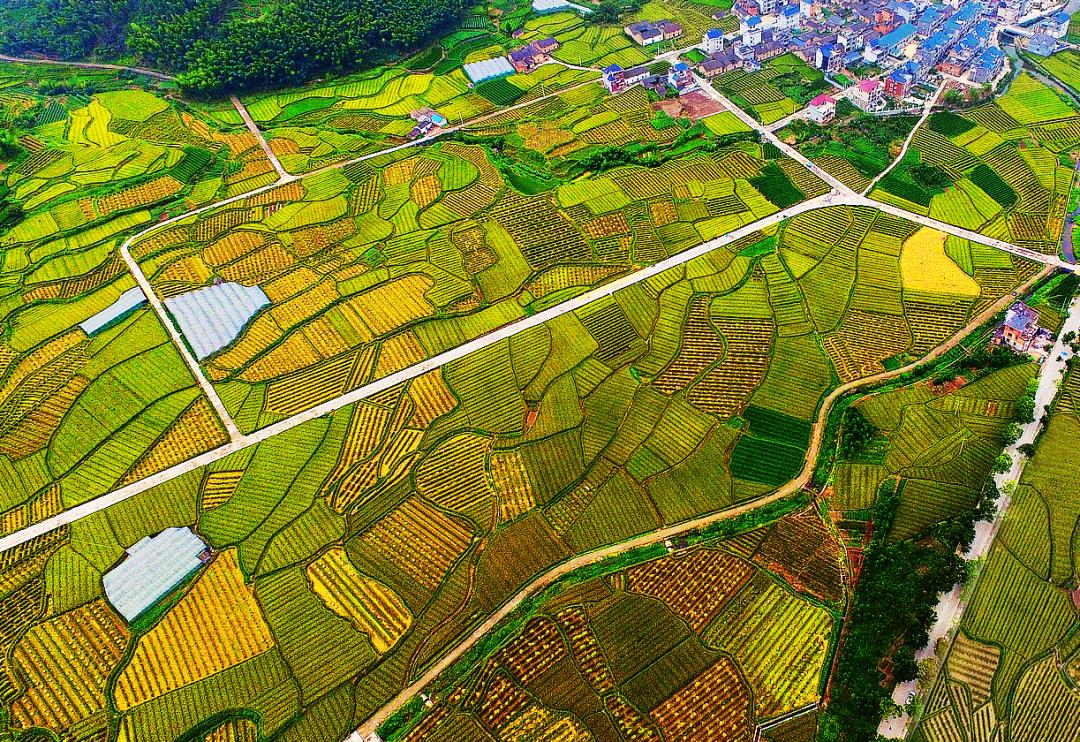 金竹最新規(guī)劃發(fā)布，開啟學(xué)習(xí)新篇章，培養(yǎng)自信與成就感的源泉