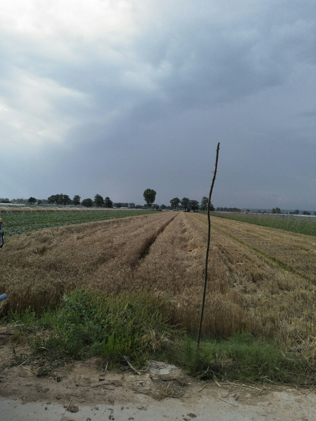 蒲城天氣預(yù)報(bào)，暖陽(yáng)下的友情時(shí)光