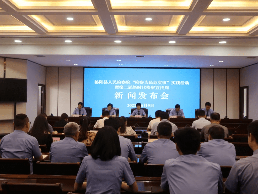 泌陽新聞最新動態(tài)，多元視角下的觀察與思考