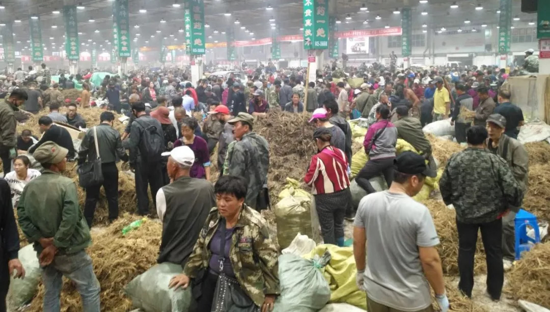 萬良人參市場(chǎng)最新動(dòng)態(tài)揭秘，日常奇遇與溫情紐帶