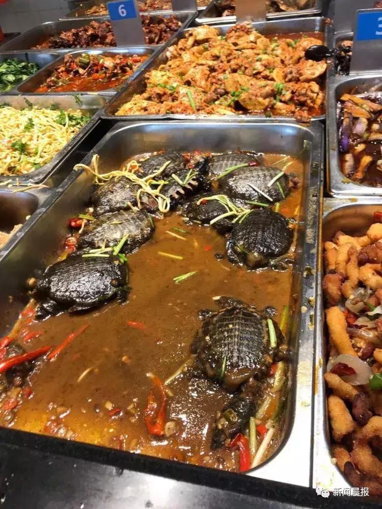 探索食堂美食新潮流，最新食堂菜一覽