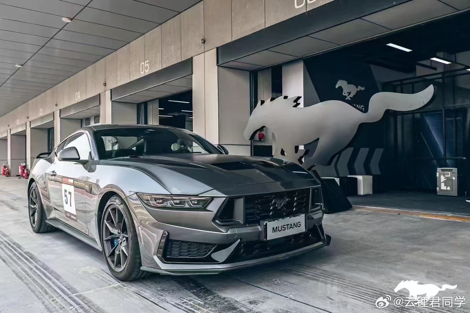 野馬擼最新動(dòng)態(tài)，駕馭變化，自信成就夢(mèng)想之旅