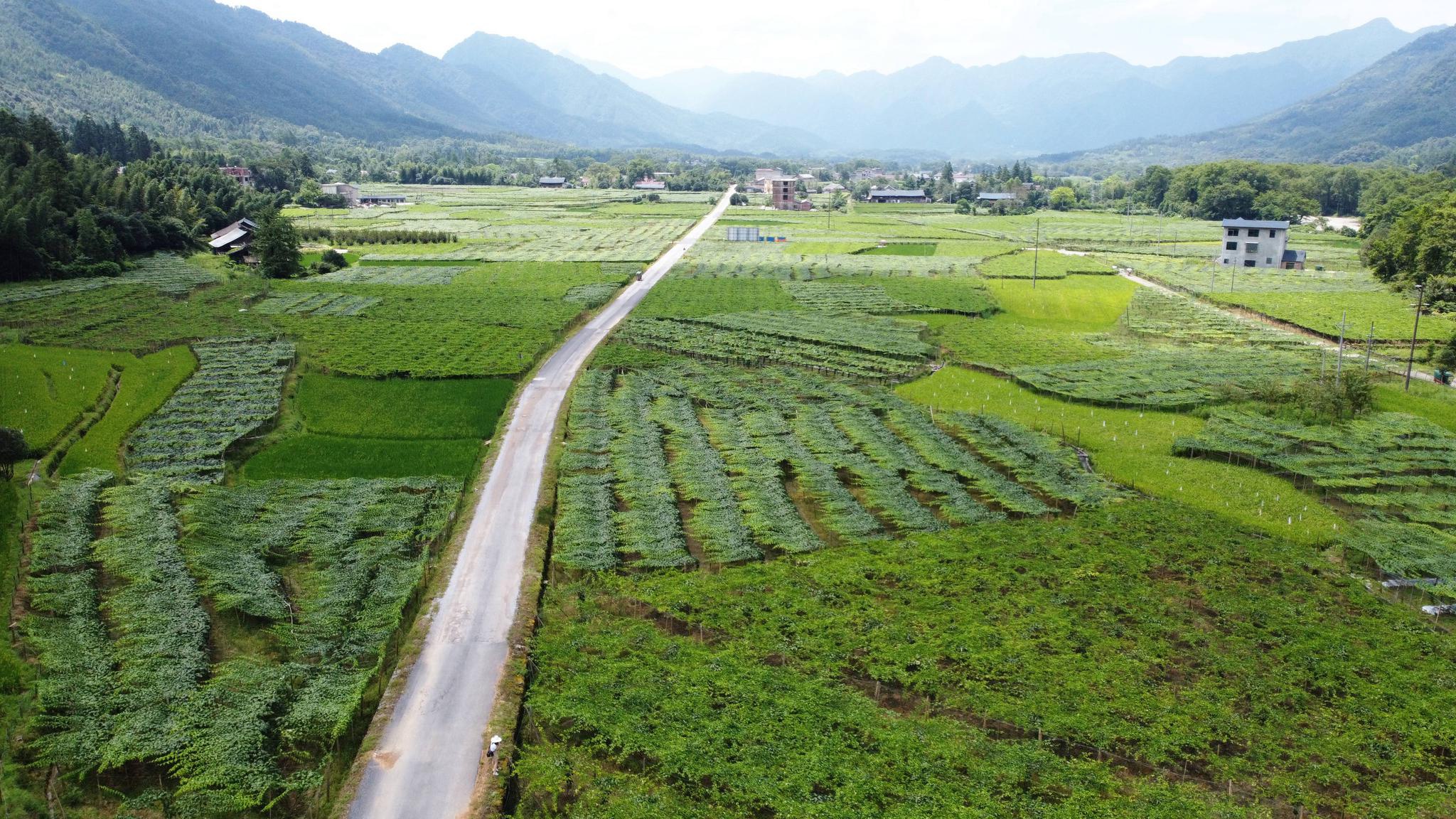 新文村，時(shí)代變遷下的文化繁榮與發(fā)展新篇章