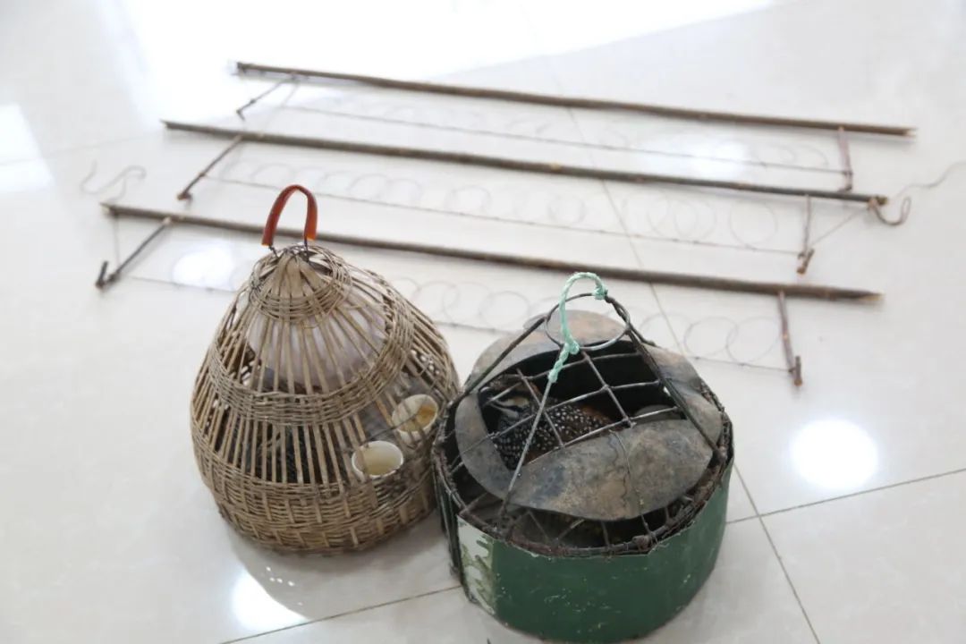 小巷中的神秘寶藏揭秘，最新捕鳥(niǎo)工具揭秘