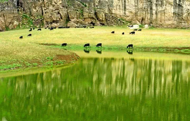 青草最新在線視頻，自然與科技融合之美展現(xiàn)的力量