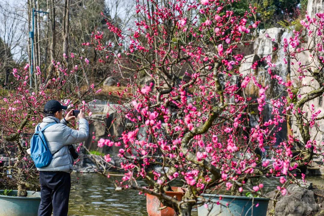 秀麗東方最新動態(tài)，啟程探索自然之美，尋找內(nèi)心寧靜之旅