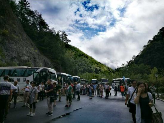 泰順高鐵最新動(dòng)態(tài)更新，最新消息一覽