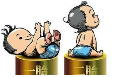 最新雙胞胎補助政策，攜手同行，助力孕育夢想之路