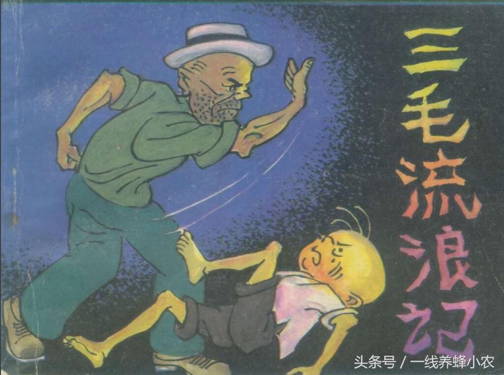 上海三毛最新動(dòng)態(tài)，自然美景探索之旅啟幕