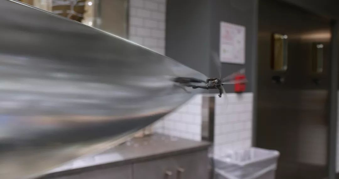 最新電泳技術(shù)，一路向前，學(xué)習(xí)成就自信之源