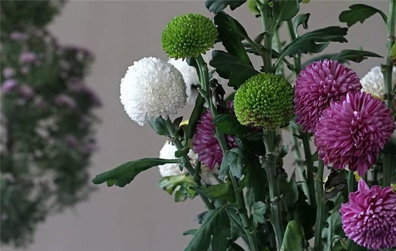 最新娛樂頭條，躍上成功舞臺(tái)的魔力之旅，自信與成就感的碰撞