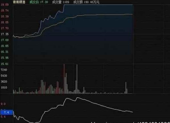 胡立陽最新探索，自然美景的治愈之旅