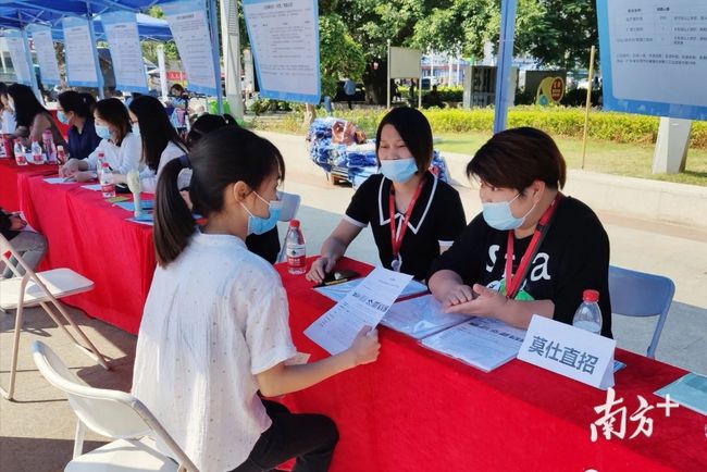 石碣最新招聘動(dòng)態(tài)，把握職業(yè)機(jī)遇，共創(chuàng)美好未來之路