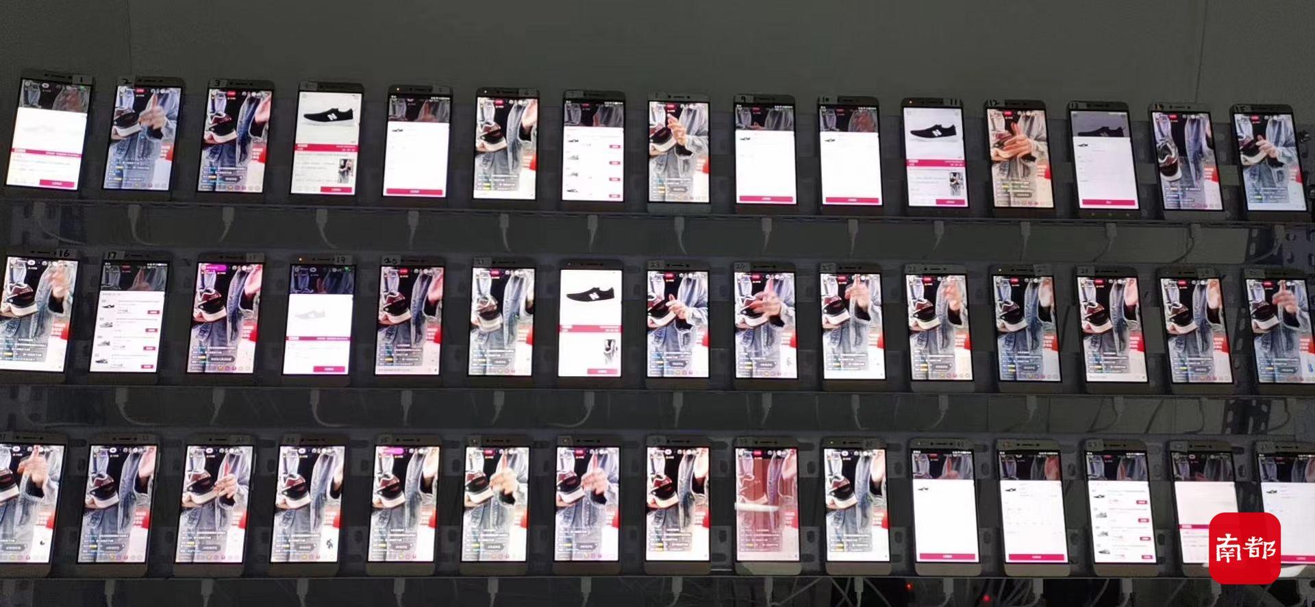 秒拍最新福利，踏上自然之旅，探尋內(nèi)心平和與寧?kù)o的奧秘