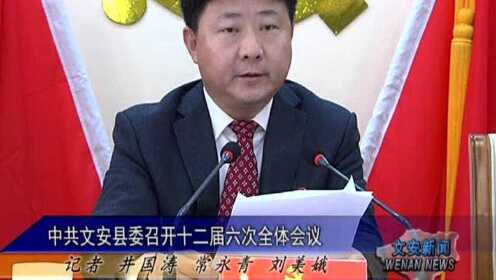 河北文安最新新聞報(bào)道