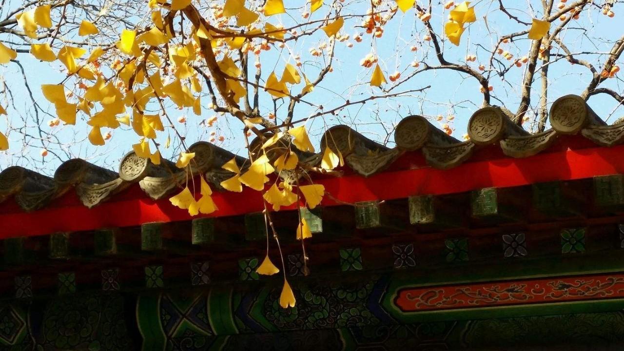 714路公交車(chē)最新路線全面解析與體驗(yàn)之旅