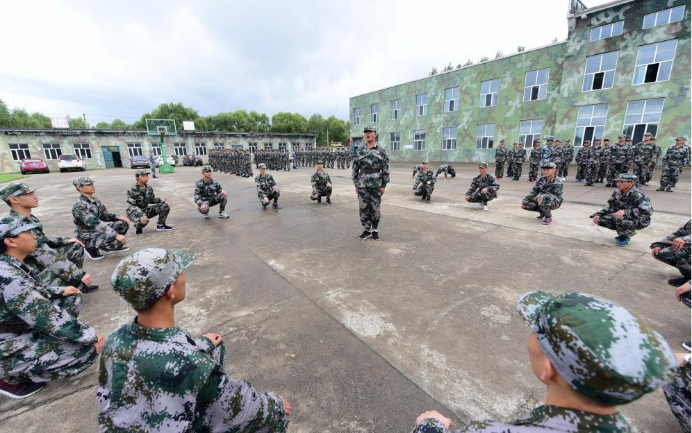遼寧人才網(wǎng)最新招聘，時代脈搏與人才匯聚的交匯點