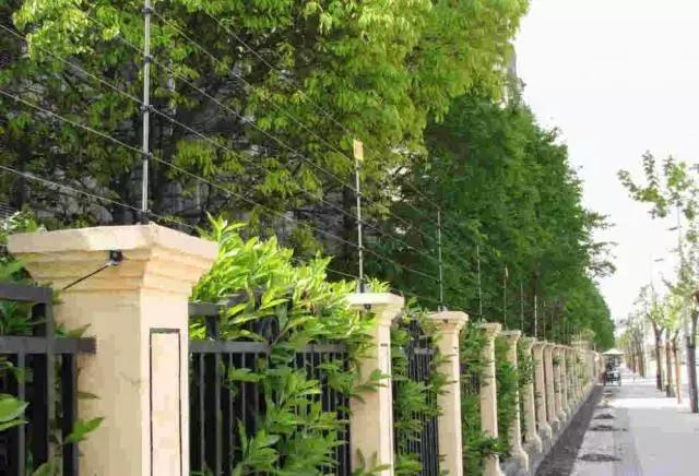 山河藥輔最新動態(tài)，引領醫(yī)藥行業(yè)新篇章