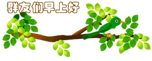 最新清晨祝福短信，晨曦中的溫暖問候，傳遞美好祝愿與關(guān)懷