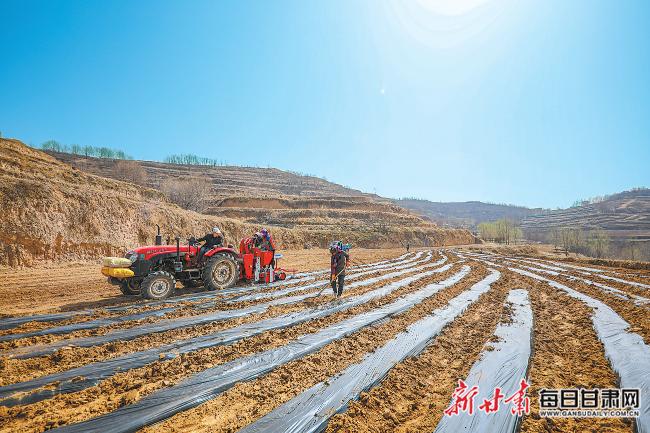 秦安最新新聞，城市溫情日常溫馨小事報(bào)道