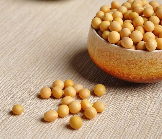 國產(chǎn)大豆最新價格，時代的變遷與影響