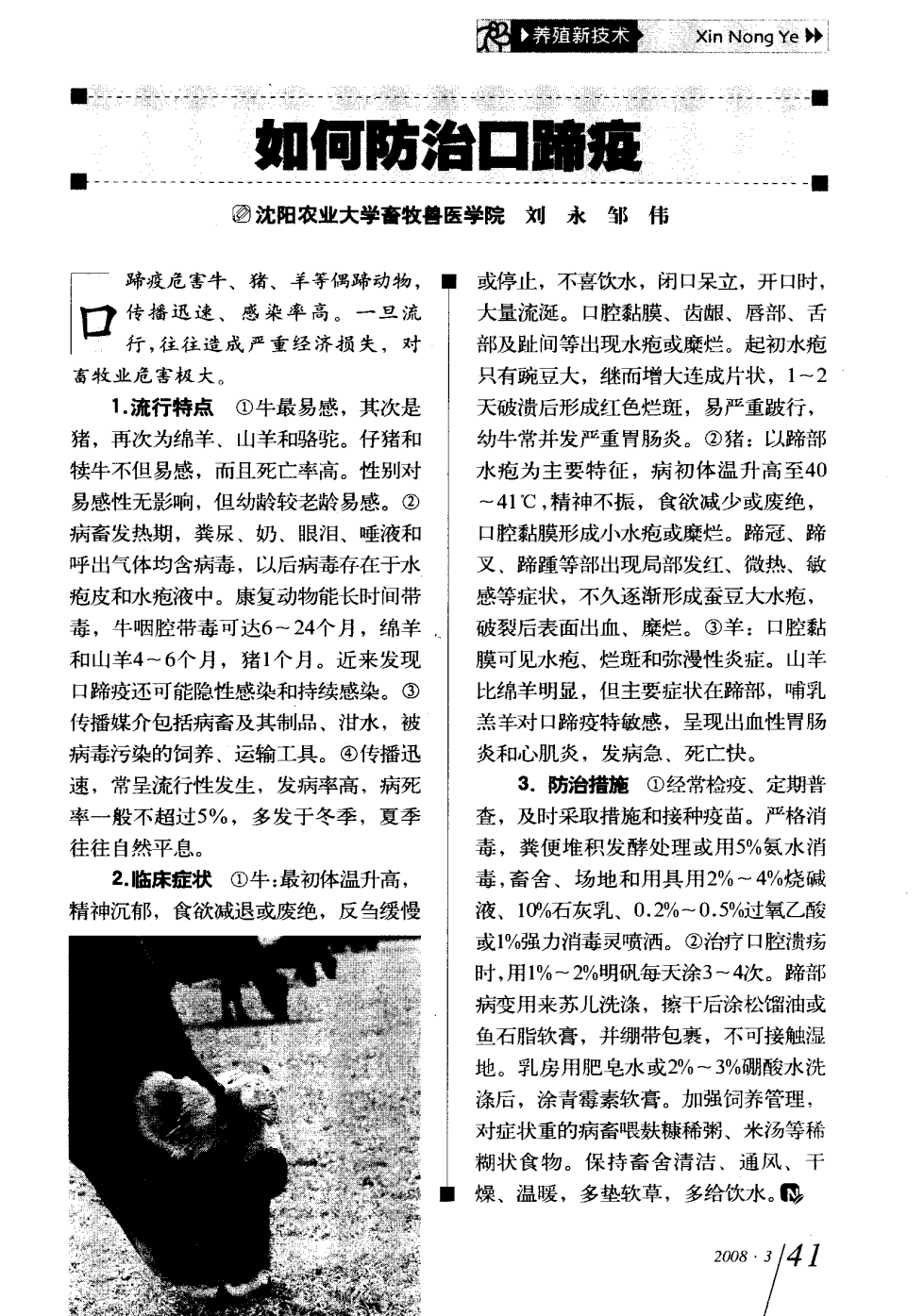 口蹄疫最新科研，自然探險(xiǎn)與內(nèi)心平和的追尋之旅