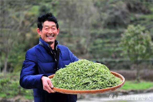 最新夷陵新聞，探索自然美景的旅程，尋覓內(nèi)心平和之地