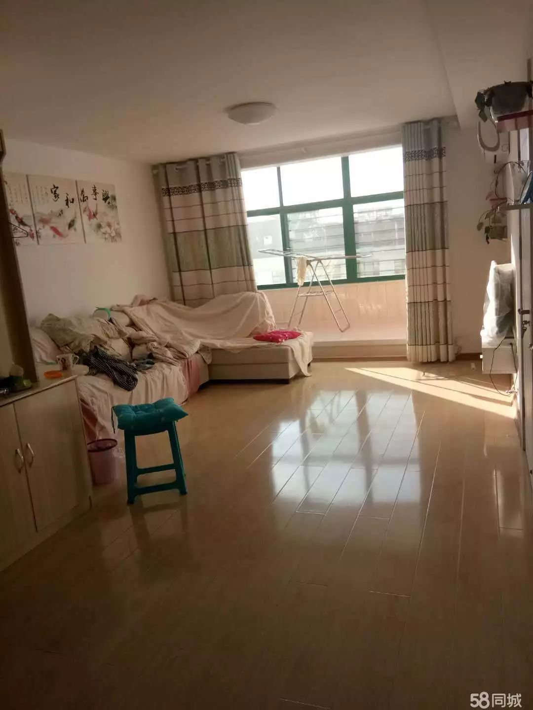 萊西最新個(gè)人租房，窗外世界與自我成長(zhǎng)的旅程