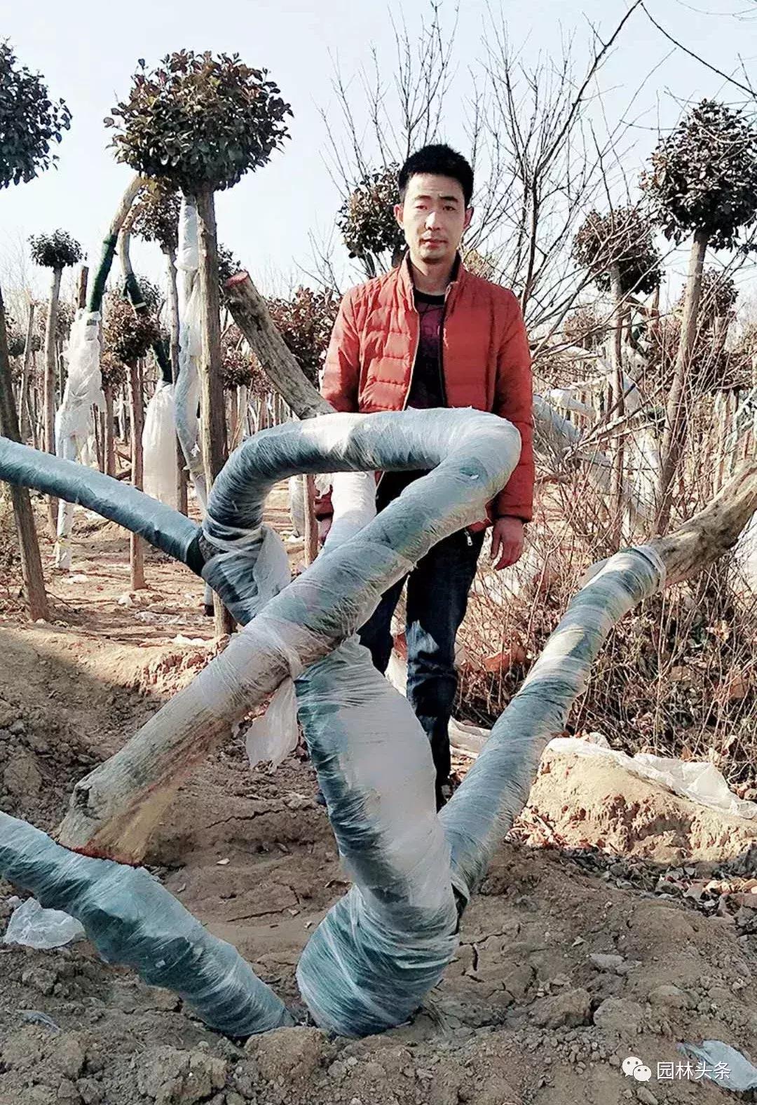 定州最新急招工，時(shí)代的呼喚與行業(yè)重塑的挑戰(zhàn)