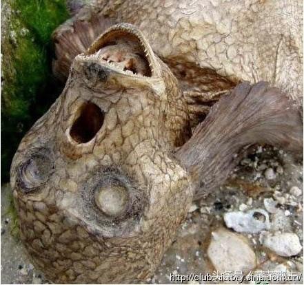 云南水怪最新動(dòng)態(tài)與神秘小巷獨(dú)特小店探秘