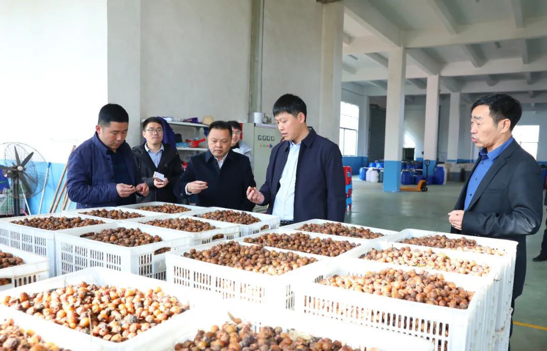 建寧最新新聞，城市溫馨日常與友情力量的展現(xiàn)