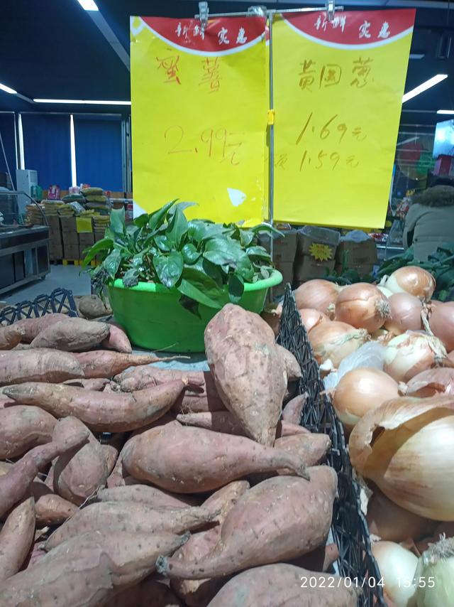 最新地瓜價(jià)格解析，查詢指南與任務(wù)攻略