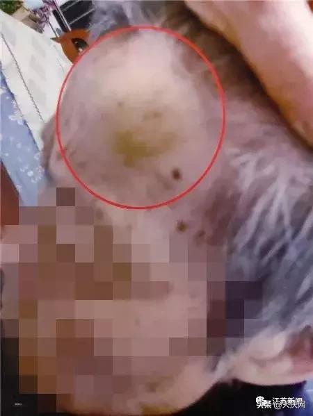 揪脖子最新視頻，探秘小巷風情小店，獨家揭秘！