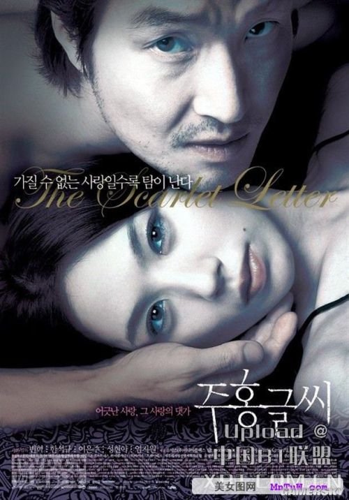 最新內(nèi)地倫理電影探索與啟示，揭示社會(huì)倫理的啟示與價(jià)值