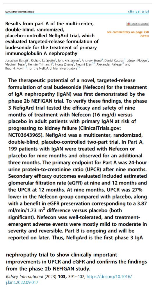 IGA腎病最新突破，醫(yī)學奇跡在小店中綻放的獨特魅力