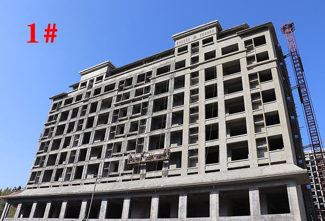 平輿最新樓盤市場現(xiàn)狀與前景展望，深度解析市場趨勢與發(fā)展前景展望