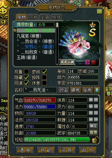 問道最新元靈，探尋內心平靜的旅程