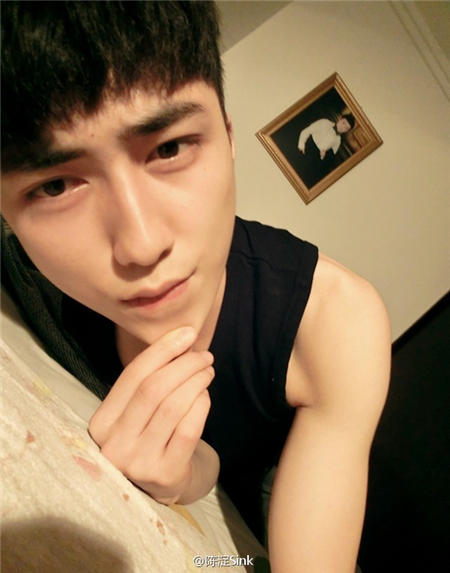 陳淀最新圖片，自然美景的探索之旅，尋覓內(nèi)心平和與喜悅的源泉