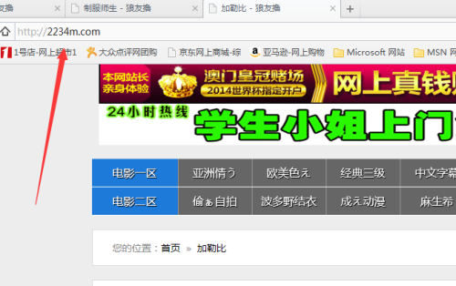 kknnn最新網站，引領你感受科技最前沿的魅力！