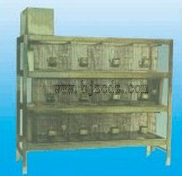 最新式兔籠，打造溫馨舒適的小天地，讓兔子樂享家園！