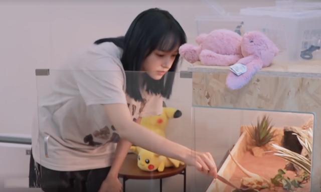 程瀟最新綜藝節(jié)目，心動(dòng)瞬間，不容錯(cuò)過(guò)！?