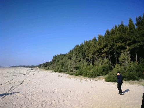 揭秘2025最新臺(tái)風(fēng)路線，提前預(yù)警，保障安全無(wú)憂