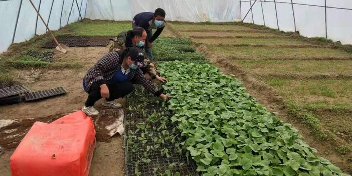 策勒最新招聘啟航人才新篇章，學(xué)習(xí)變化，擁抱自信與成就，啟程人生新征程！